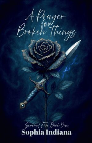 A Prayer for Broken Things (Hard Cover)